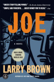 Book cover of Joe