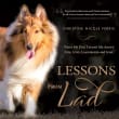 Book cover of Lessons from Lad: What My Dog Taught Me About Life, Love, Leadership, and Loss