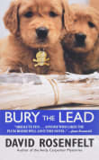 Book cover of Bury the Lead