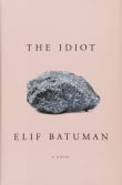 Book cover of The Idiot