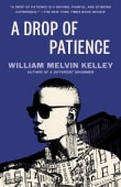 Book cover of A Drop of Patience