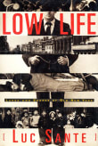 Book cover of Low Life: Lures and Snares of Old New York