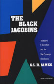 Book cover of The Black Jacobins: Toussaint L'Ouverture and the San Domingo Revolution