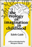 Book cover of The Ecology of Imagination in Childhood