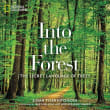 Book cover of Into the Forest: The Secret Language of Trees