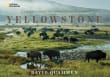 Book cover of Yellowstone: A Journey Through America's Wild Heart