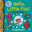 Book cover of Hello, Little Fish! A Mirror Book