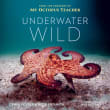 Book cover of Underwater Wild: My Octopus Teacher's Extraordinary World