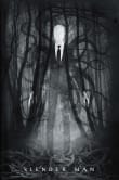 Book cover of Slender Man