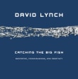 Book cover of Catching the Big Fish: Meditation, Consciousness, and Creativity