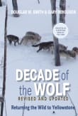 Book cover of Decade of the Wolf