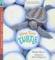 Book cover of One Tiny Turtle: Read and Wonder