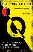 Book cover of Q