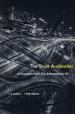 Book cover of The Great Acceleration: An Environmental History of the Anthropocene since 1945