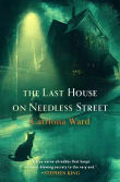 Book cover of The Last House on Needless Street