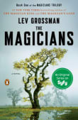 Book cover of The Magicians