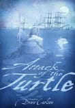 Book cover of Attack of the Turtle