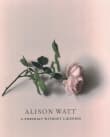 Book cover of Alison Watt: A Portrait Without Likeness: A Conversation with the Art of Allan Ramsay