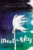 Book cover of Meet the Sky