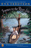 Book cover of Journey to the River Sea
