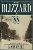 Book cover of The Blizzard of '88