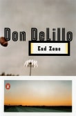 Book cover of End Zone