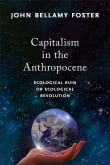 Book cover of Capitalism in the Anthropocene: Ecological Ruin or Ecological Revolution