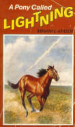 Book cover of A Pony Called Lightning