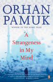 Book cover of A Strangeness in My Mind