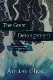 Book cover of The Great Derangement: Climate Change and the Unthinkable