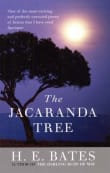 Book cover of The Jacaranda Tree