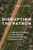 Book cover of Disrupting the Patron: Indigenous Land Rights and the Fight for Environmental Justice in Paraguay's Chaco