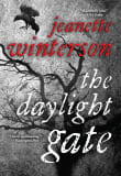 Book cover of The Daylight Gate