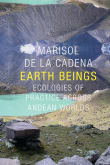 Book cover of Earth Beings: Ecologies of Practice Across Andean Worlds