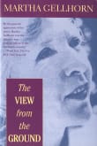 Book cover of The View from the Ground