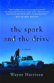 Book cover of The Spark and the Drive