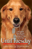 Book cover of Until Tuesday: A Wounded Warrior and the Golden Retriever Who Saved Him