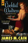 Book cover of The Cocktail Waitress