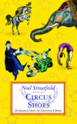 Book cover of Circus Shoes