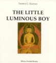 Book cover of The Little Luminous Boy