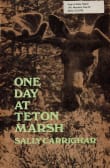 Book cover of One Day at Teton Marsh