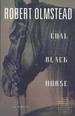 Book cover of Coal Black Horse