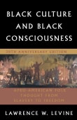 Book cover of Black Culture and Black Consciousness: Afro-American Folk Thought from Slavery to Freedom