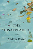 Book cover of The Disappeared: Stories