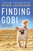 Book cover of Finding Gobi: A Little Dog with a Very Big Heart