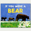 Book cover of If You Were a Bear
