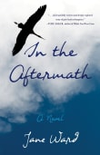 Book cover of In the Aftermath