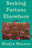 Book cover of Seeking Fortune Elsewhere: Stories