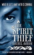 Book cover of The Spirit Thief