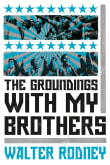 Book cover of The Groundings with My Brothers